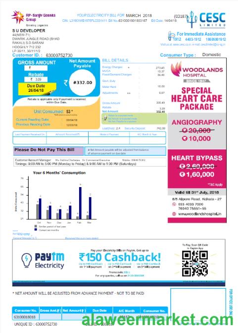 INDIA CESC LIMITED utility bill Word and PDF template